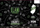 Magnify Brewing - Elani 0 (415)