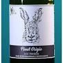 Wild Nature - Organic Pinot Grigio 2022 (750)