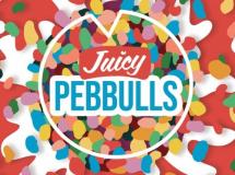 Bolero Snort - Juicy Pebbulls (4 pack 16oz cans) (4 pack 16oz cans)