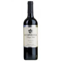 Echeverria - Merlot Gran Reserva 2019 (750ml) (750ml)