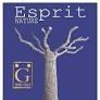 Henri Giraud - Esprit Nature Brut Champagne NV (750ml) (750ml)