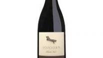 Sojourn Cellars - Sonoma Coast Pinot Noir 2021 (750ml) (750ml)