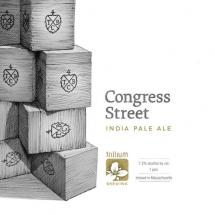 Trillium Brewing - Congress Street (4 pack 16oz cans) (4 pack 16oz cans)