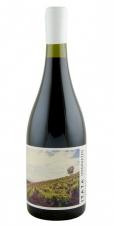 Ungrafted - Cinsault Itata 2021 (750ml) (750ml)