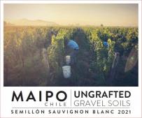 Ungrafted - Semillon-Sauvignon Blanc 2022 (750ml) (750ml)