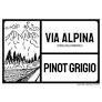 Via Alpina - Pinot Grigio 2021 (750ml) (750ml)
