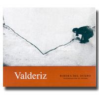 Bodegas y Viedos Valderiz - Ribera del Duero 2019 (750ml) (750ml)