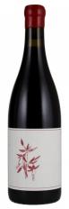 Arnot-Roberts - Pinot Noir Coastlands Vineyard 2017 (750ml) (750ml)