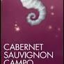 Campo alle Comete - Cabernet Sauvignon 2019 (750)