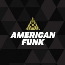 Captain Lawrence Brewing Co. - American Funk IPA (375ml) (375ml)