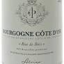 Domaine Alvina Pernot - Bourgogne Cote D'or Chardonnay 2020 (750)