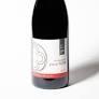 Domaine Laurent Cognard - Bourgogne Pinot Noir Chateau de Buxy 2019 (750)