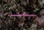 Foreign Objects - Dreamtime Haruspex 0 (415)