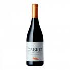 Global Wines - Cabriz Reserve Red 0 (750)